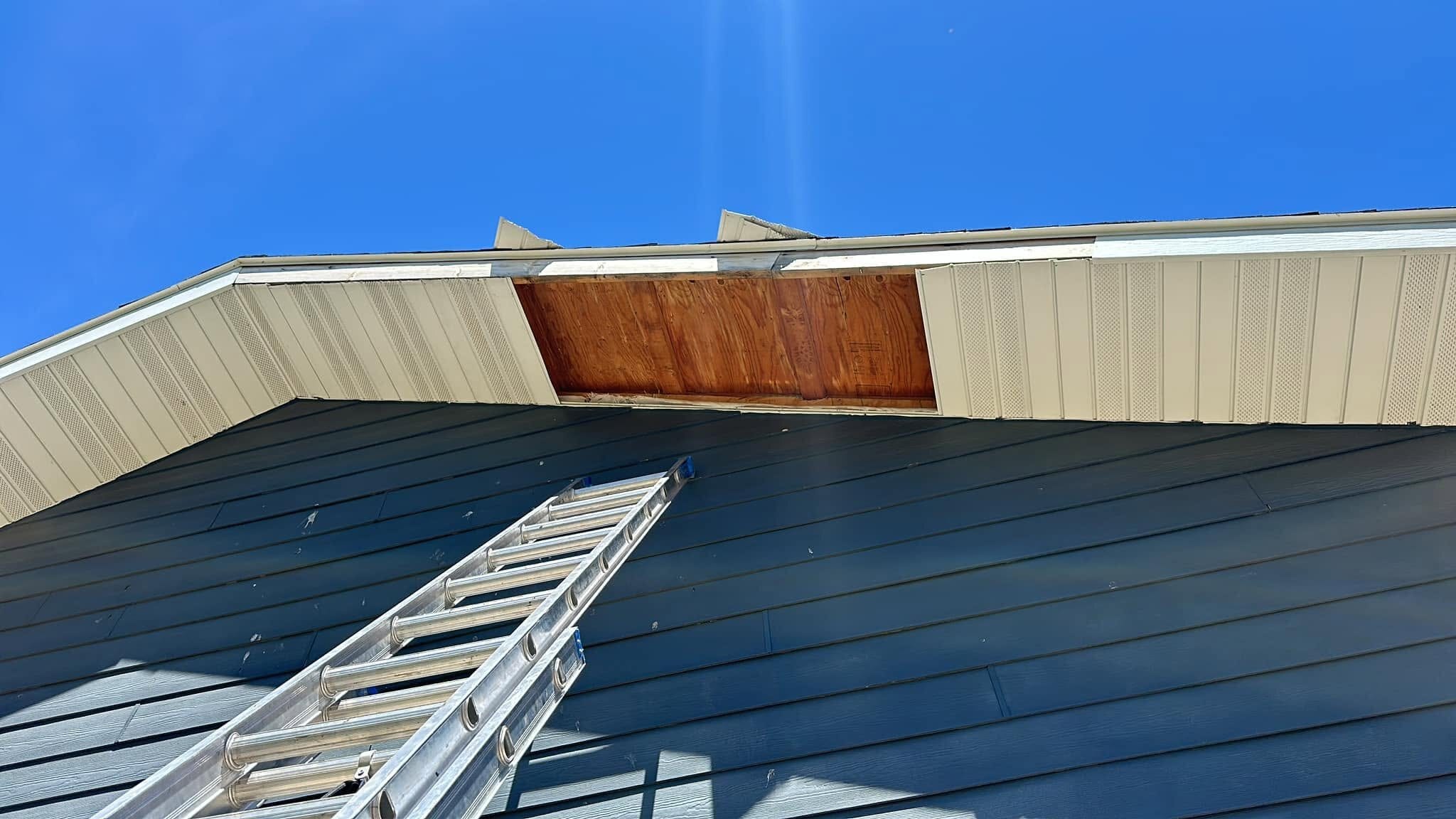 Steel soffit and fascia with one fascia panel pulled off, exposing the bare wood behind it, and an extension ladder resting on the blue-gray steel roof